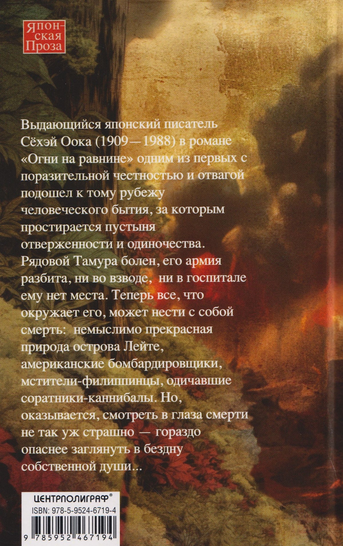 Сехэй Оока: Огни на равнине