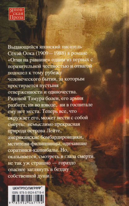 Сехэй Оока: Огни на равнине