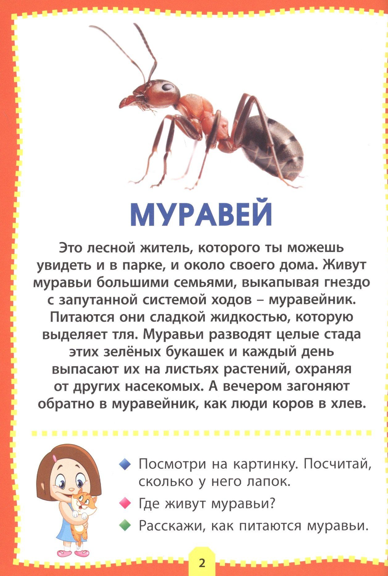 Насекомые. Фотокнига для самых маленьких