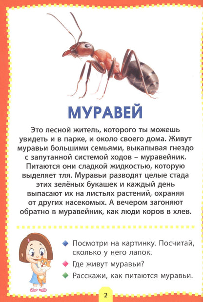Насекомые. Фотокнига для самых маленьких