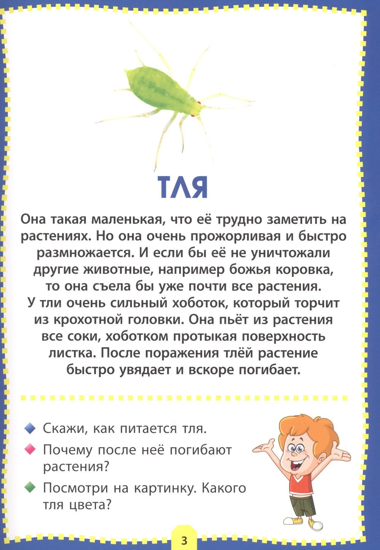 Насекомые. Фотокнига для самых маленьких
