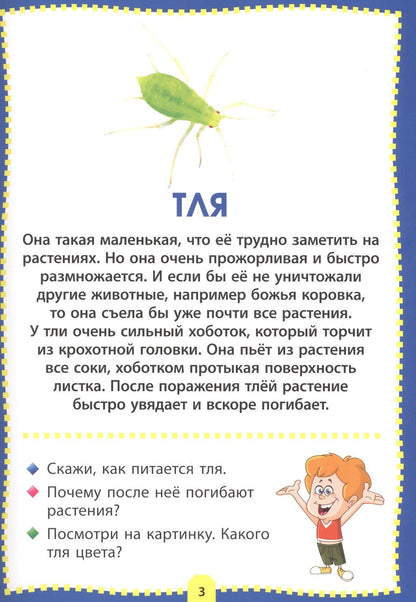 Насекомые. Фотокнига для самых маленьких