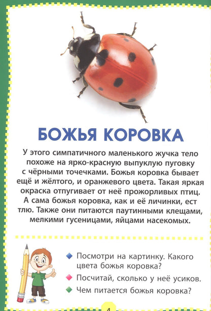 Насекомые. Фотокнига для самых маленьких