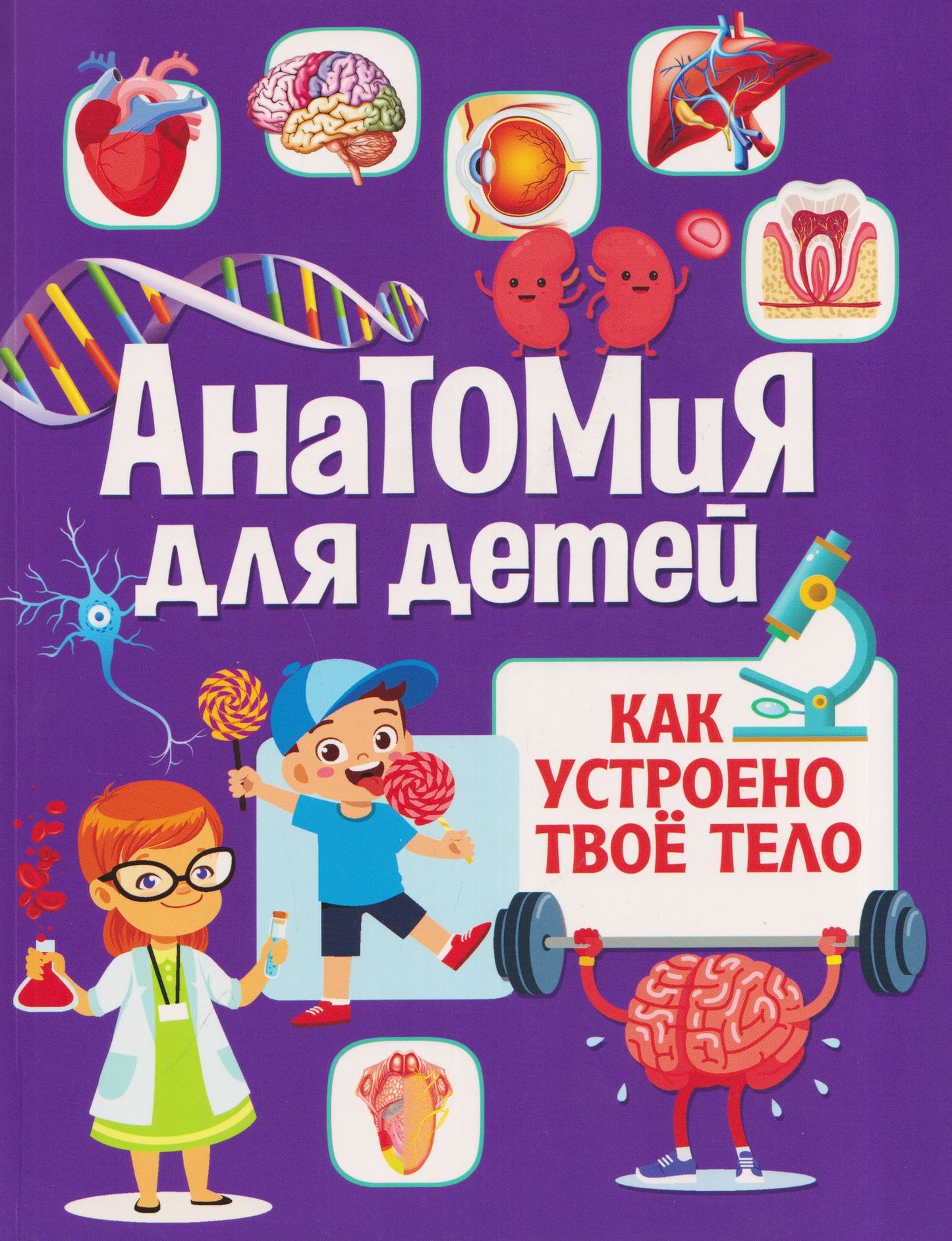 Анатомия для детей. Как устроено твоё тело