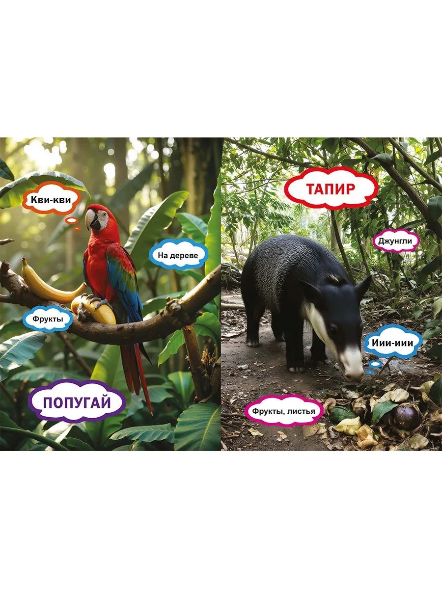 Животные. Кто как говорит? Кто что ест? Кто где живёт? Книга для малышей
