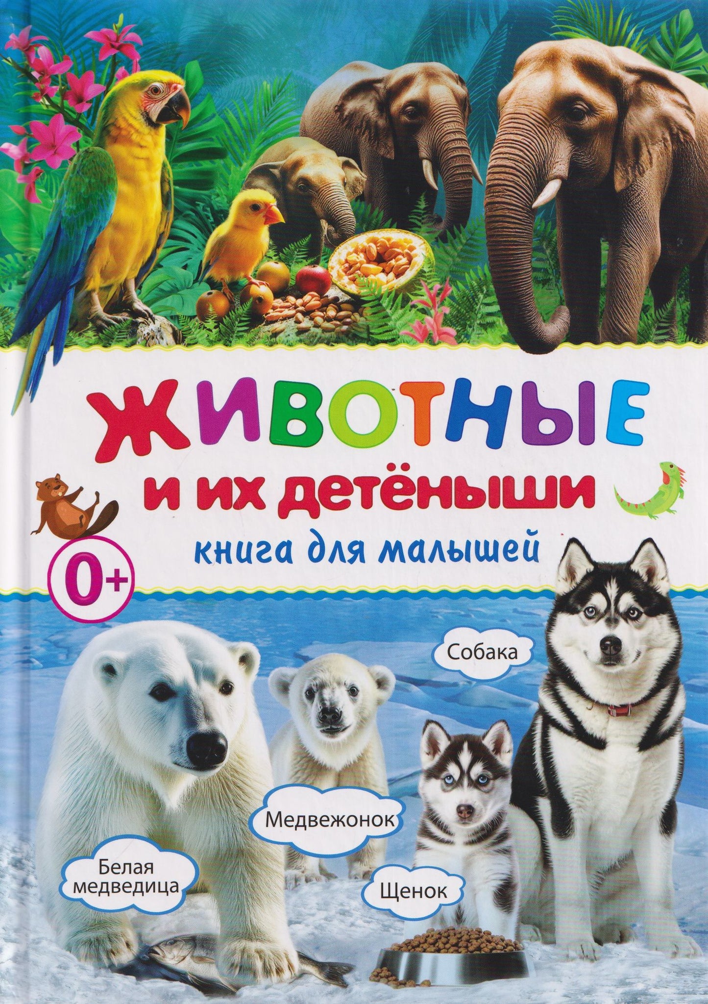 Животные и их детёныши. Книга для малышей