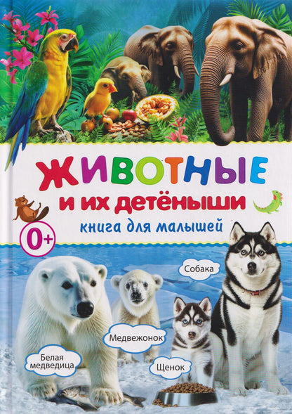 Животные и их детёныши. Книга для малышей