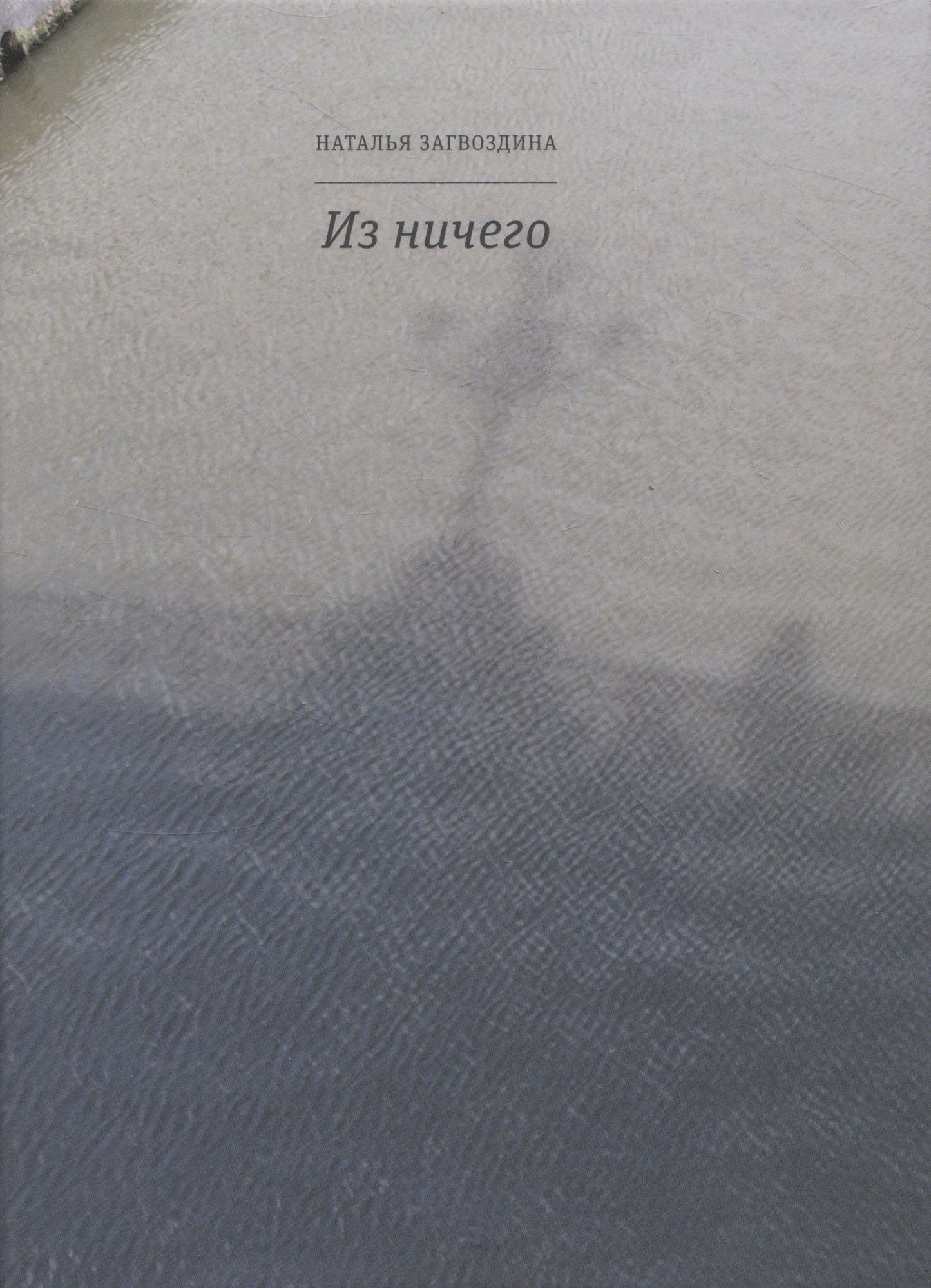 Наталья Загвоздина: Из ничего