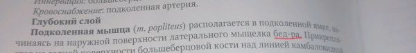 Светлана Чава: Анатомия человека. Учебник. В 2-х томах. Том 1