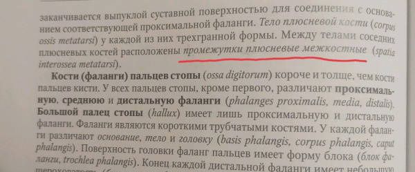 Светлана Чава: Анатомия человека. Учебник. В 2-х томах. Том 1