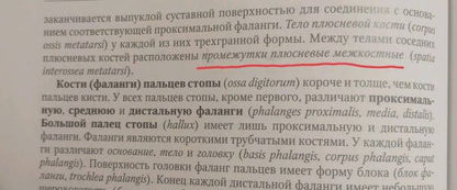 Светлана Чава: Анатомия человека. Учебник. В 2-х томах. Том 1