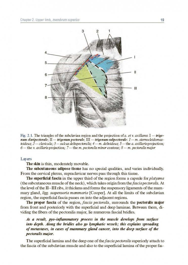 Анатолий Николаев: Topographic Anatomy and Operative Surgery. Textbook