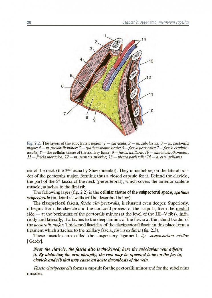 Анатолий Николаев: Topographic Anatomy and Operative Surgery. Textbook