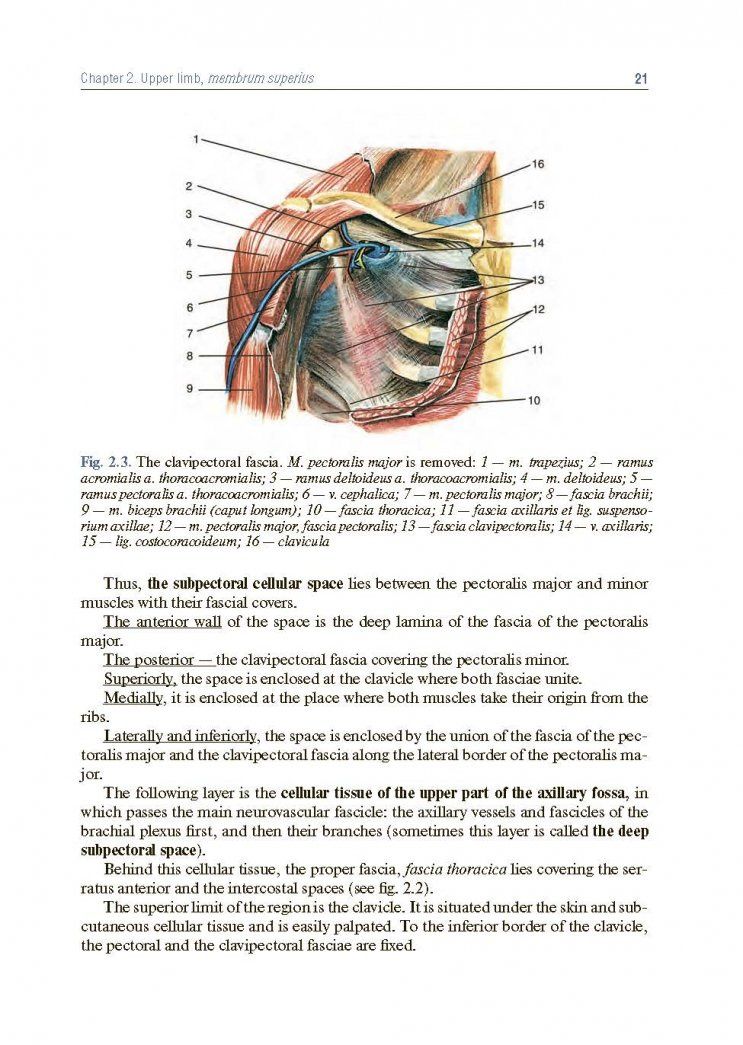 Анатолий Николаев: Topographic Anatomy and Operative Surgery. Textbook