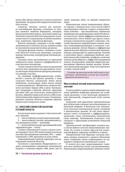 Виктория Торбек: Гистология органов полости рта. Атлас. Учебное пособие
