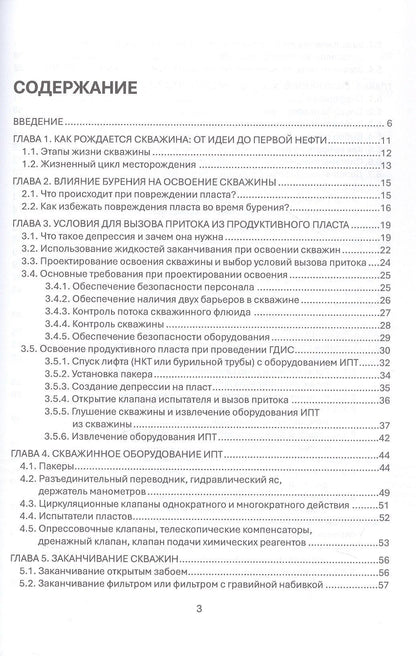 Эльдар Султан-заде: Освоение скважин без формул: практические основы и опыт по освоению и вызову притока. Учебник