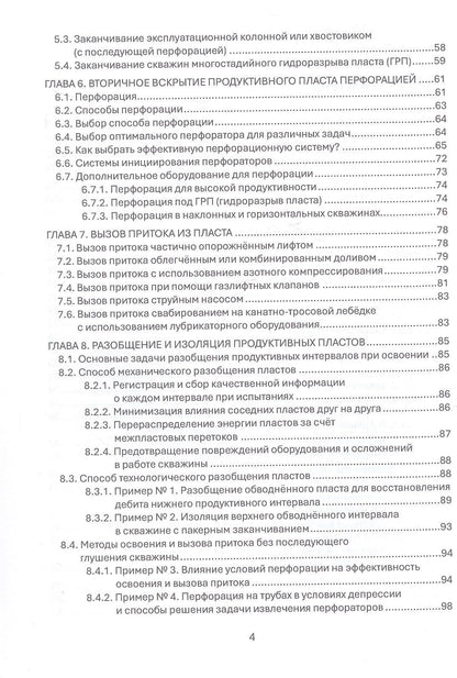 Эльдар Султан-заде: Освоение скважин без формул: практические основы и опыт по освоению и вызову притока. Учебник