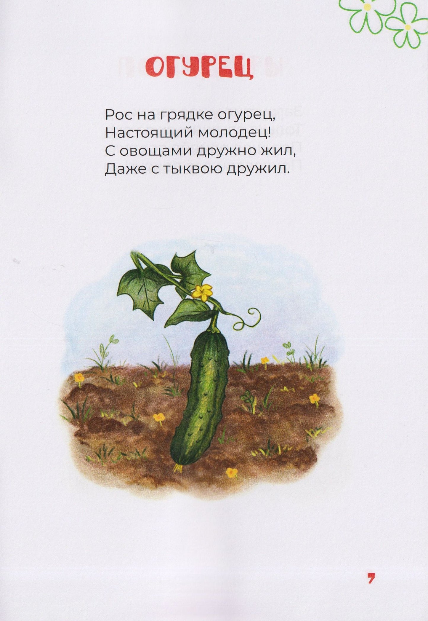 Владимир Стригин: Клубника