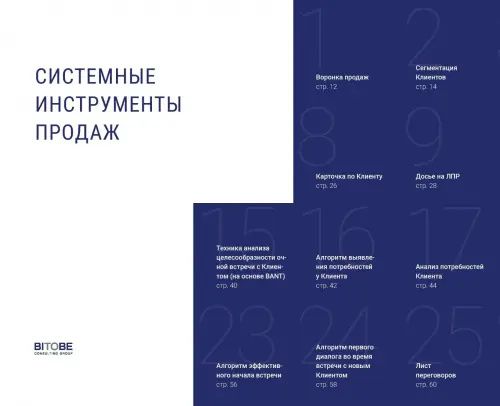 Наталия Боровикова: B2B-продажи. Системные инструменты. Социально-психологические инструменты.