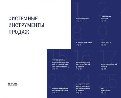 Наталия Боровикова: B2B-продажи. Системные инструменты. Социально-психологические инструменты.