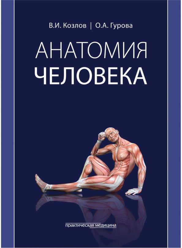 Валентин Козлов: Анатомия человека. Учебник