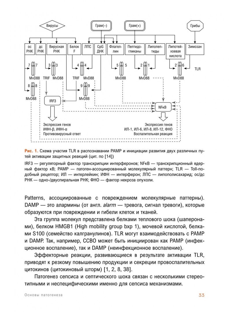 Сепсис. Учебное пособие