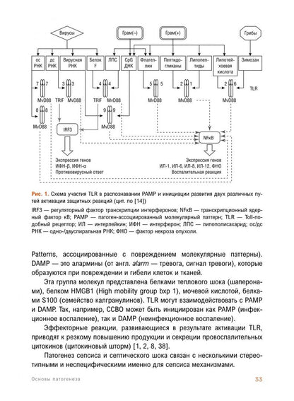Сепсис. Учебное пособие