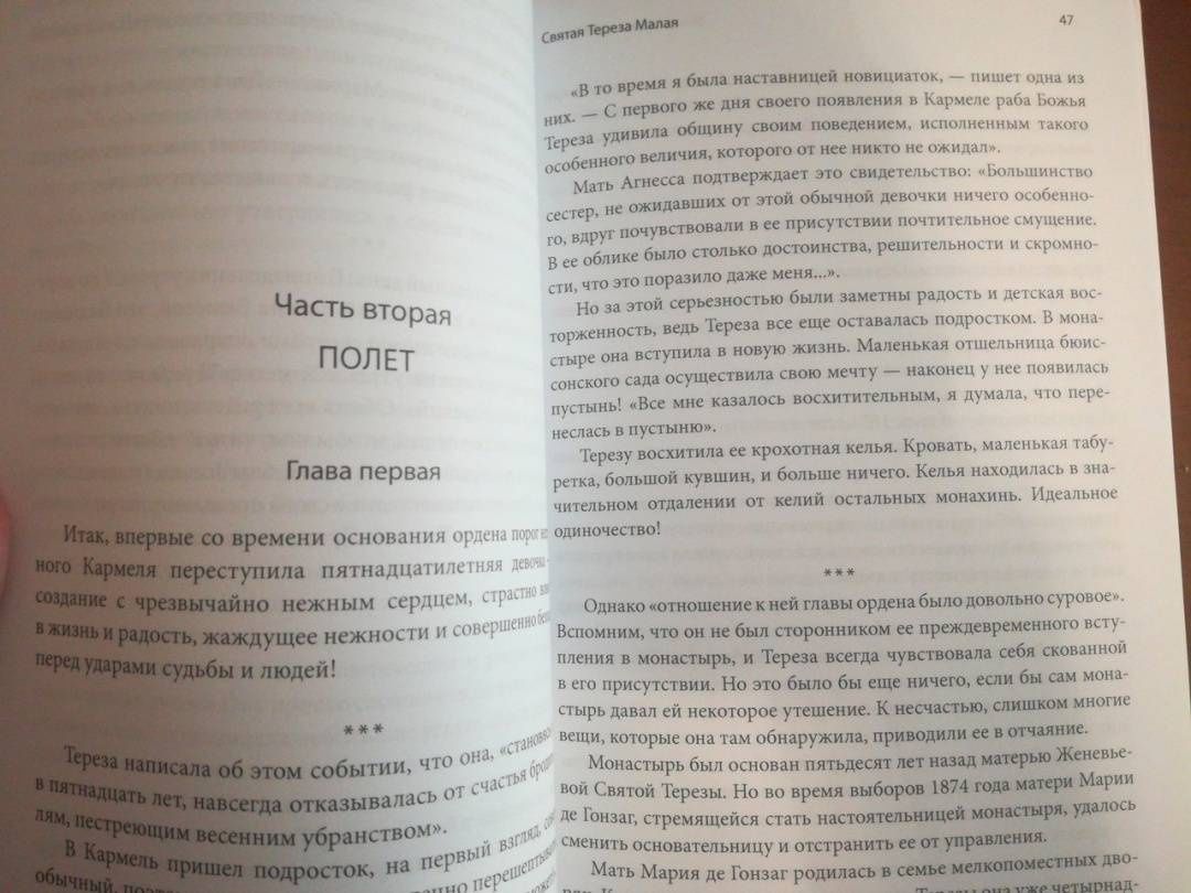 дер Ван: Святая Тереза Малая. Жизнь Терезы из Лизье, Учителя Церкви