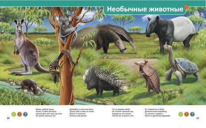 Эти удивительные животные