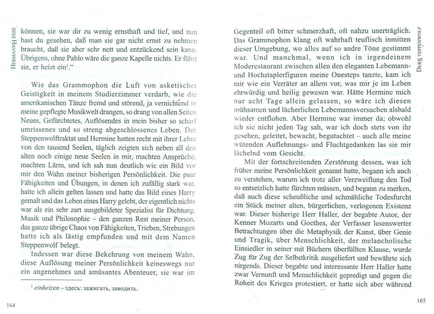 Hermann Hesse: Der Steppenwolf