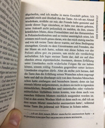 Hermann Hesse: Der Steppenwolf