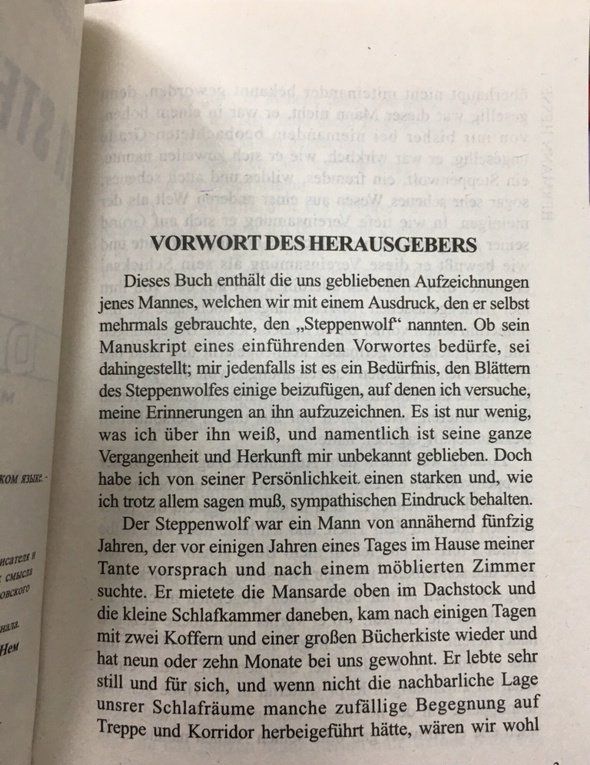 Hermann Hesse: Der Steppenwolf