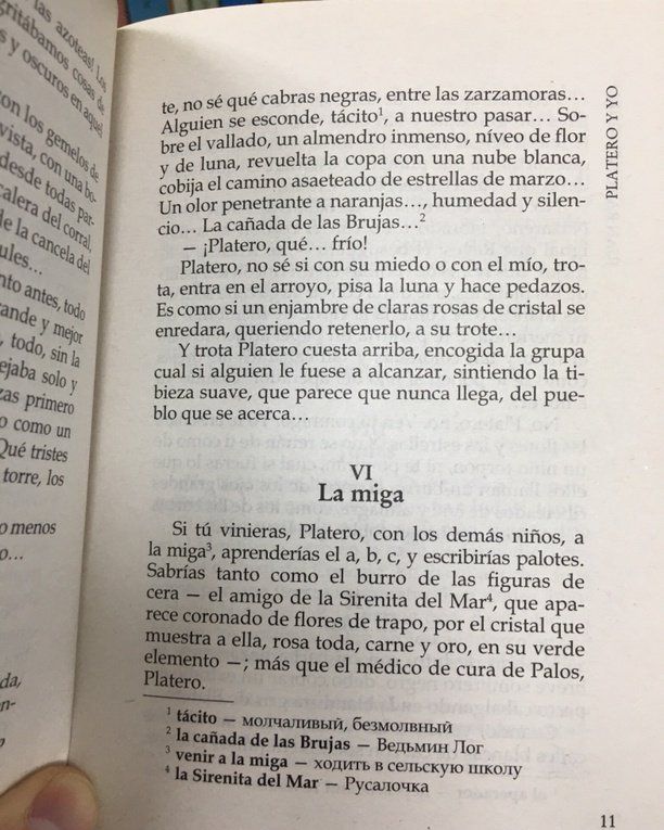 Juan Jimenez: Platero y yo