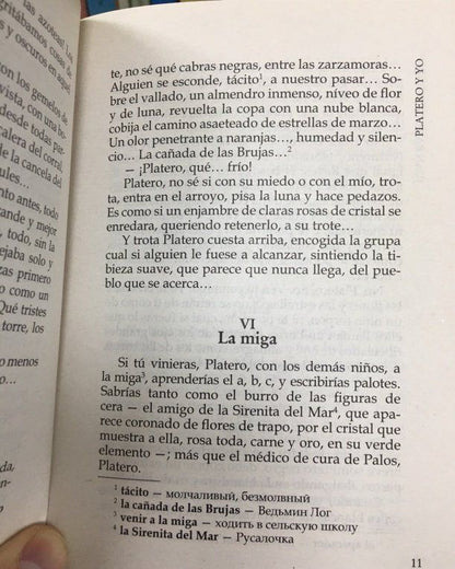 Juan Jimenez: Platero y yo