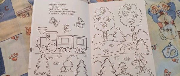 Елена Михайленко: Путешествие куклы Маши