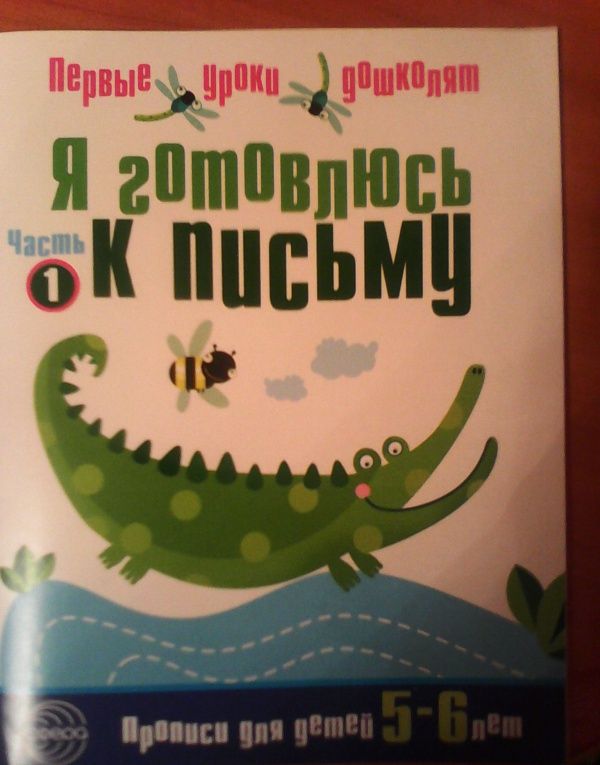 Я готовлюсь к письму. Прописи для детей 5-6 лет