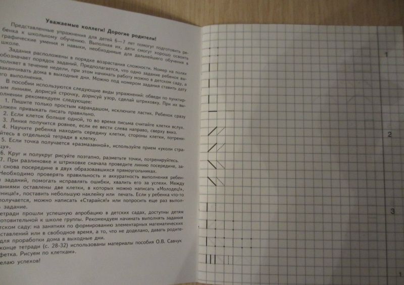 Я тренирую руку. Прописи для дошкольников 6-7 лет