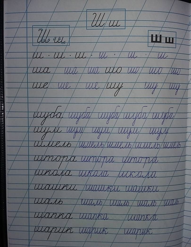 Галина Сычева: Тренажер по чистописанию для начальной школы. Выпуск 1