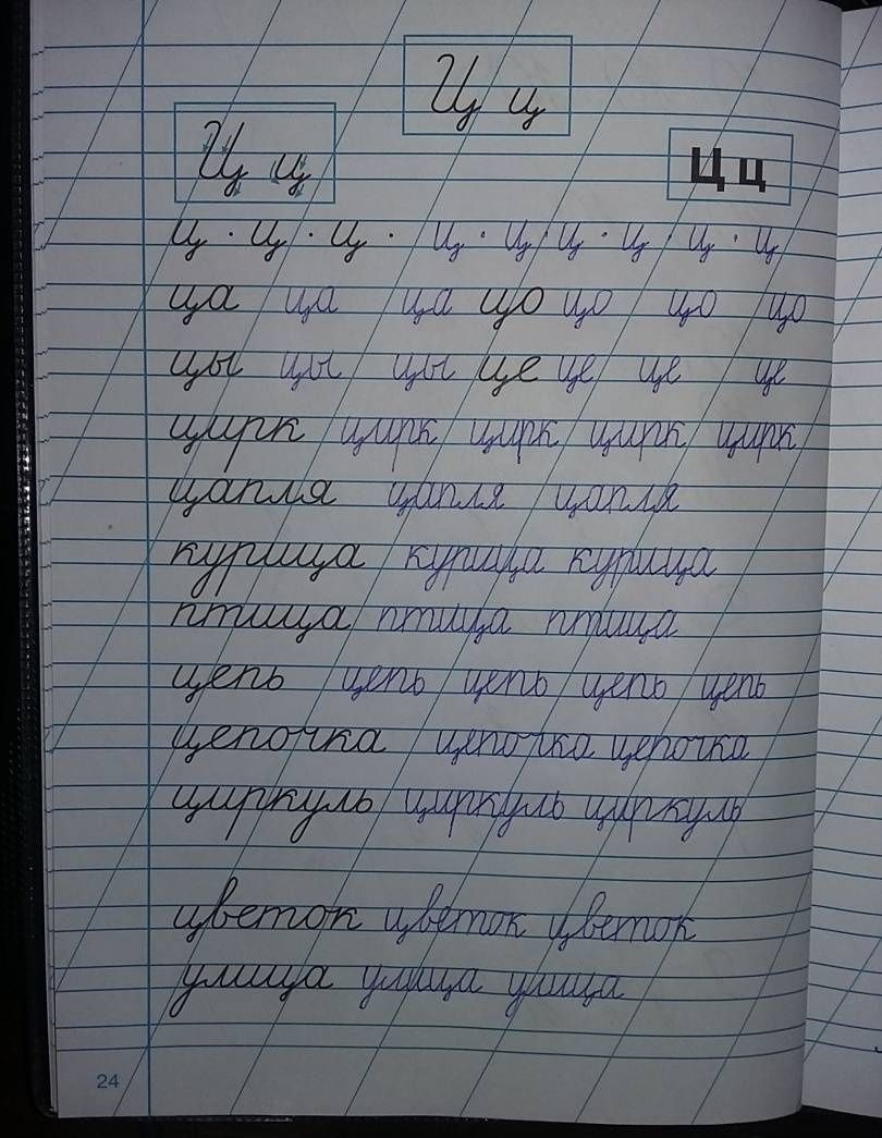 Галина Сычева: Тренажер по чистописанию для начальной школы. Выпуск 1