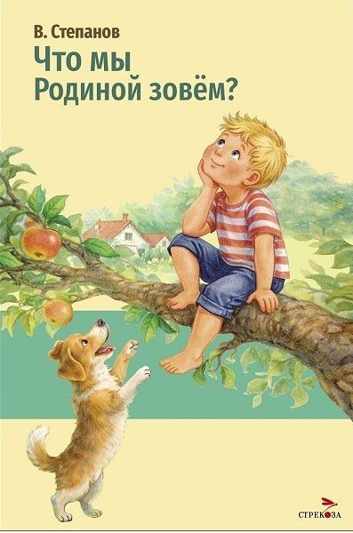 Владимир Степанов: Что мы Родиной зовем?