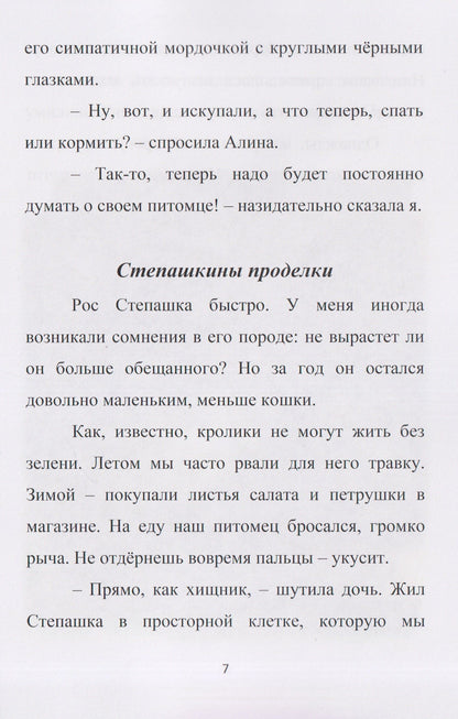 Степашка и другие. Рассказы