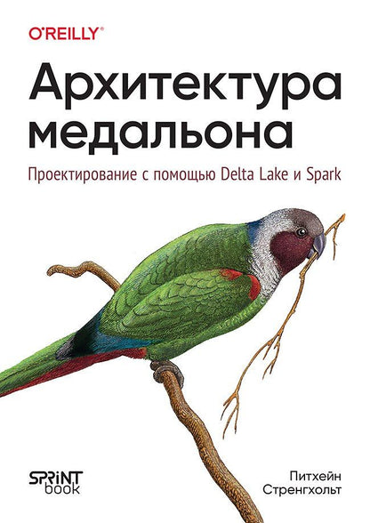 Питхейн Стренгхольт: Архитектура медальона. Проектирование с помощью Delta Lake и Spark