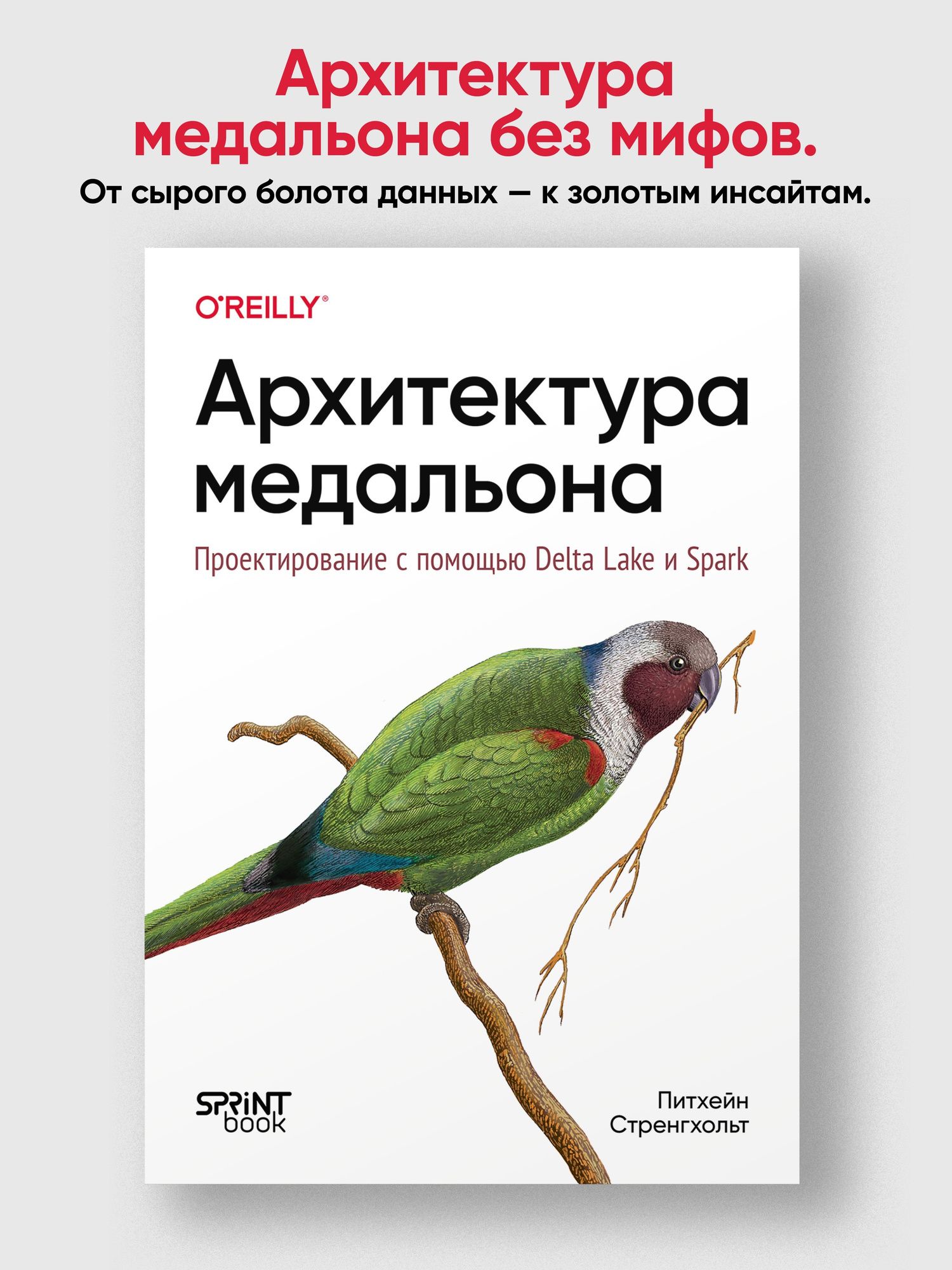 Питхейн Стренгхольт: Архитектура медальона. Проектирование с помощью Delta Lake и Spark
