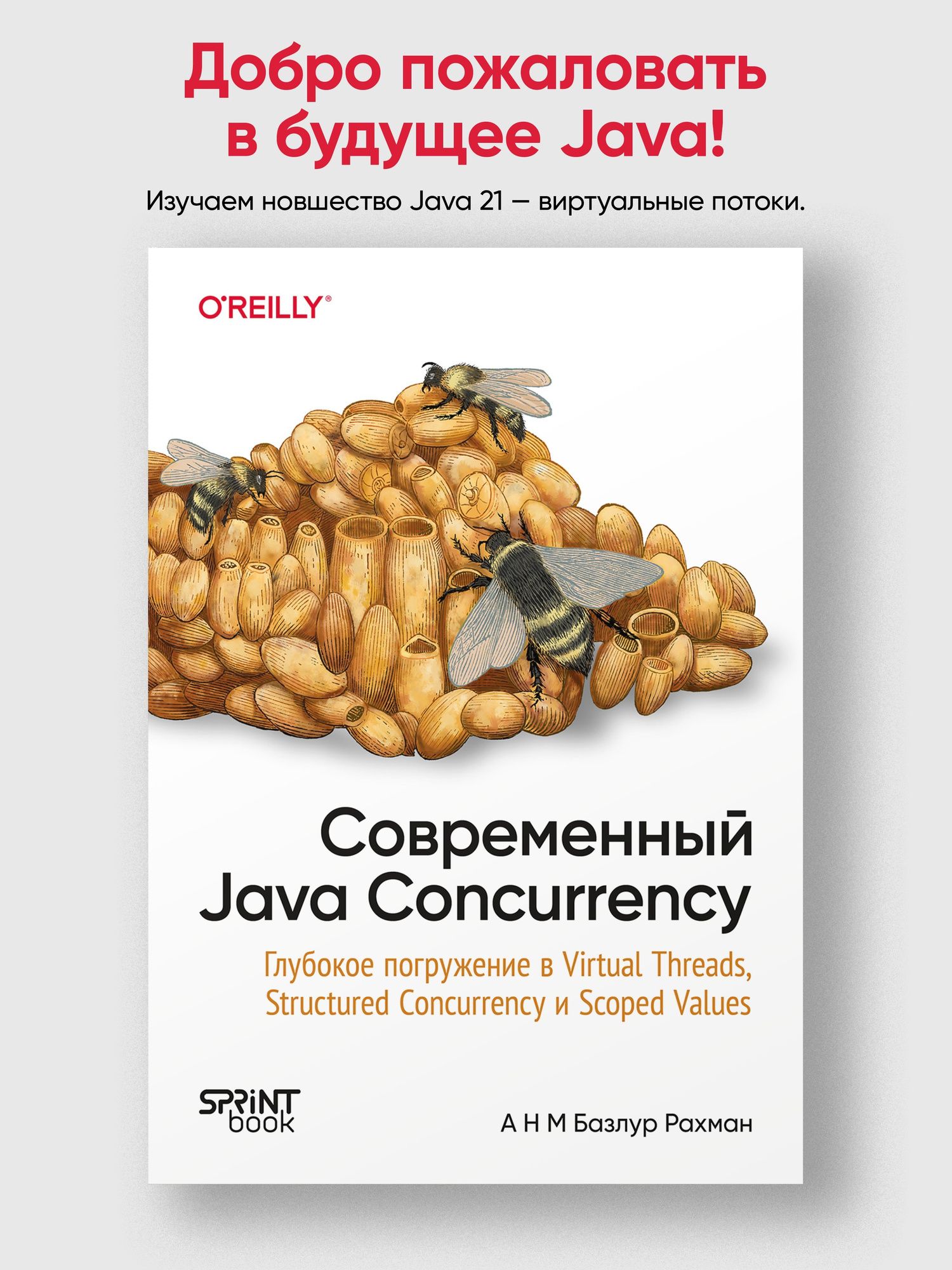 А Рахман: Современный Java Concurrency. Глубокое погружение в Virtual Threads, Structured Concurrency и Scoped Values