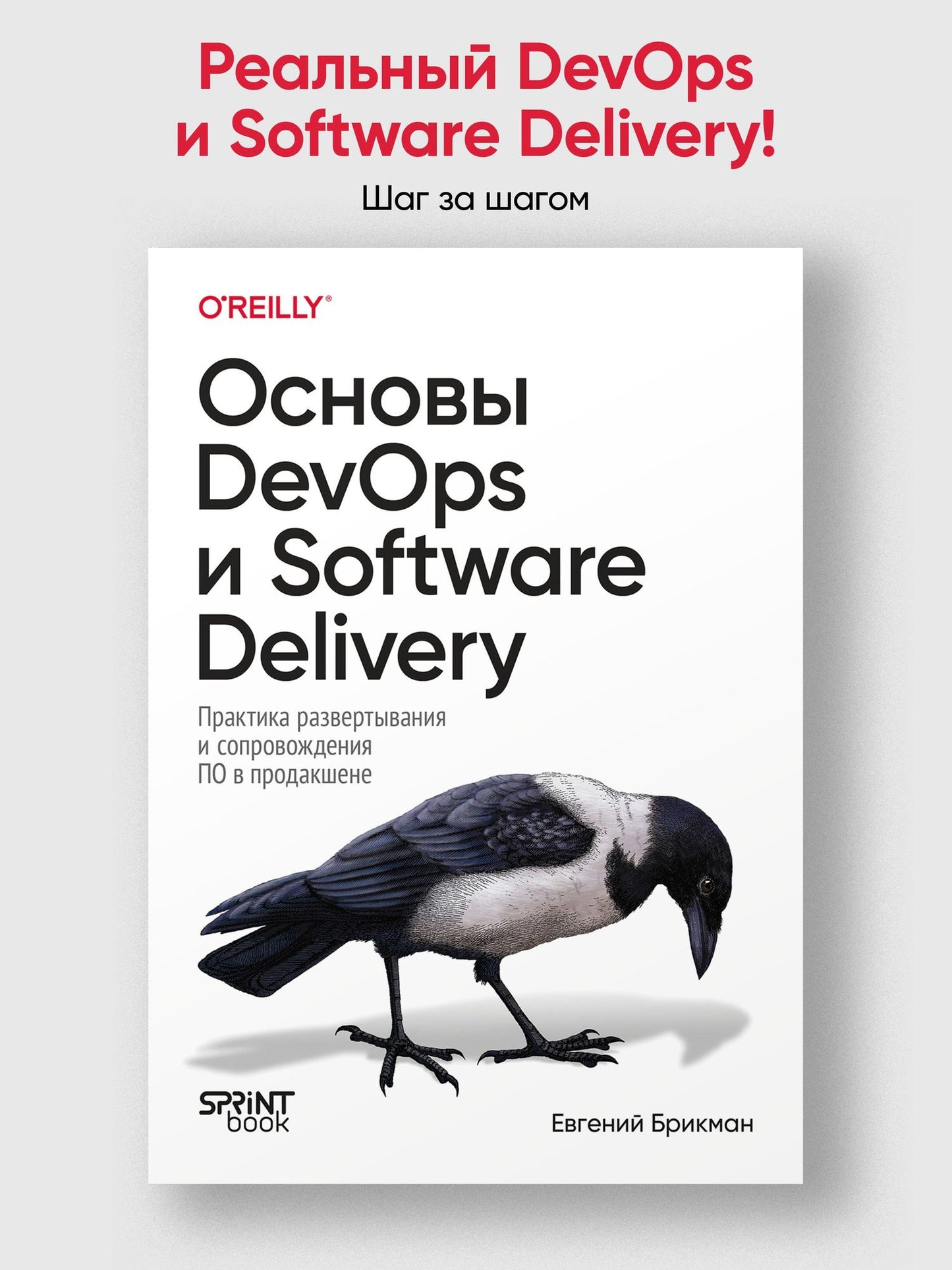 Евгений Брикман: Основы DevOps и Software Delivery. Практика развертывания и сопровождения ПО в продакшене