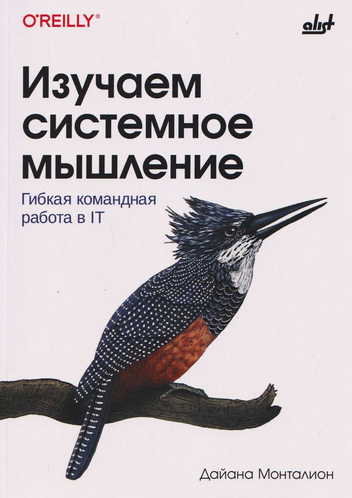 Изучаем системное мышление. Гибкая командная работа в IT