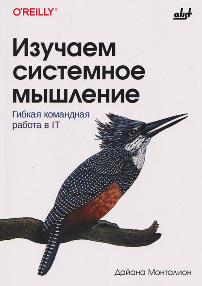 Изучаем системное мышление. Гибкая командная работа в IT