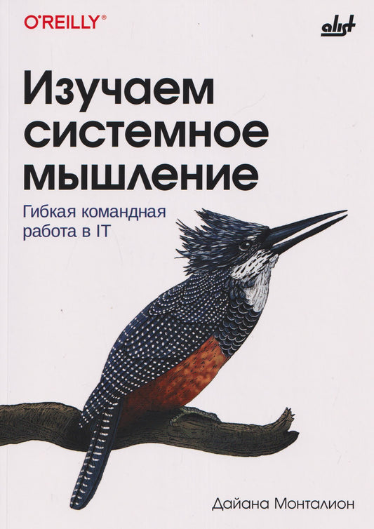 Изучаем системное мышление. Гибкая командная работа в IT