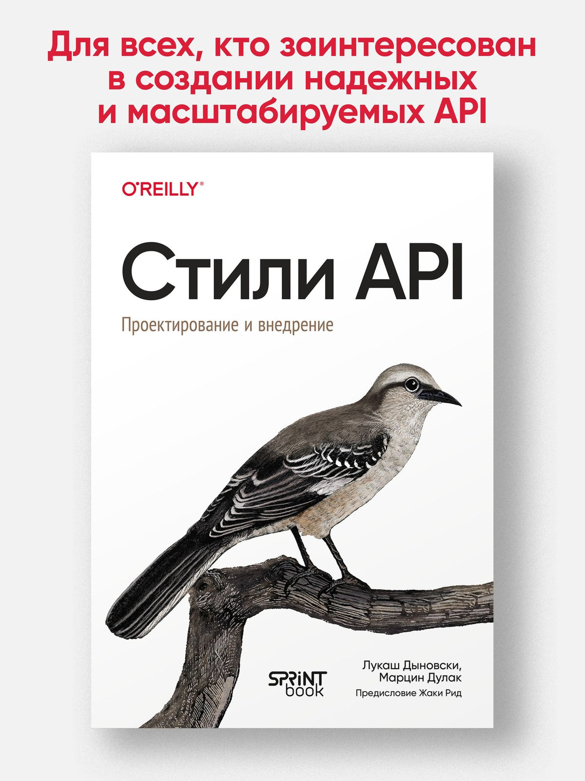 Марцин Дулак: Стили API. Проектирование и внедрение