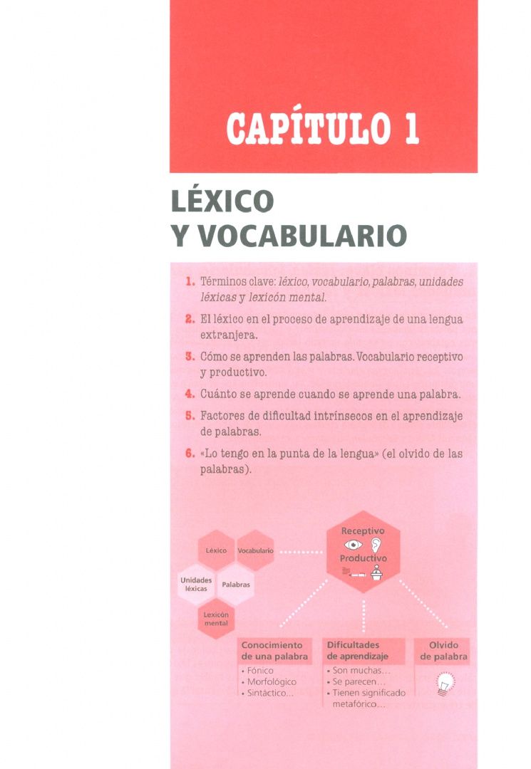 Maria Ainciburu: Estrategias para la adquisición del léxico
